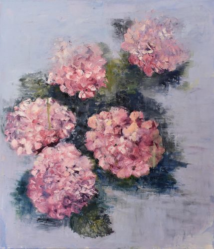 Ortensie Rosa Pina Gurrieri
